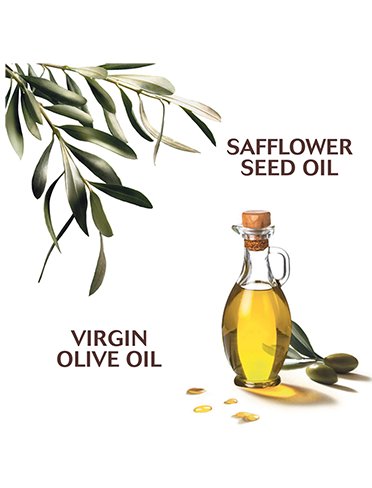 Olive-ingredients
